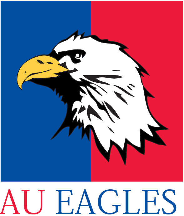 American Eagles 1985-2005 Alternate Logo t shirts iron on transfers